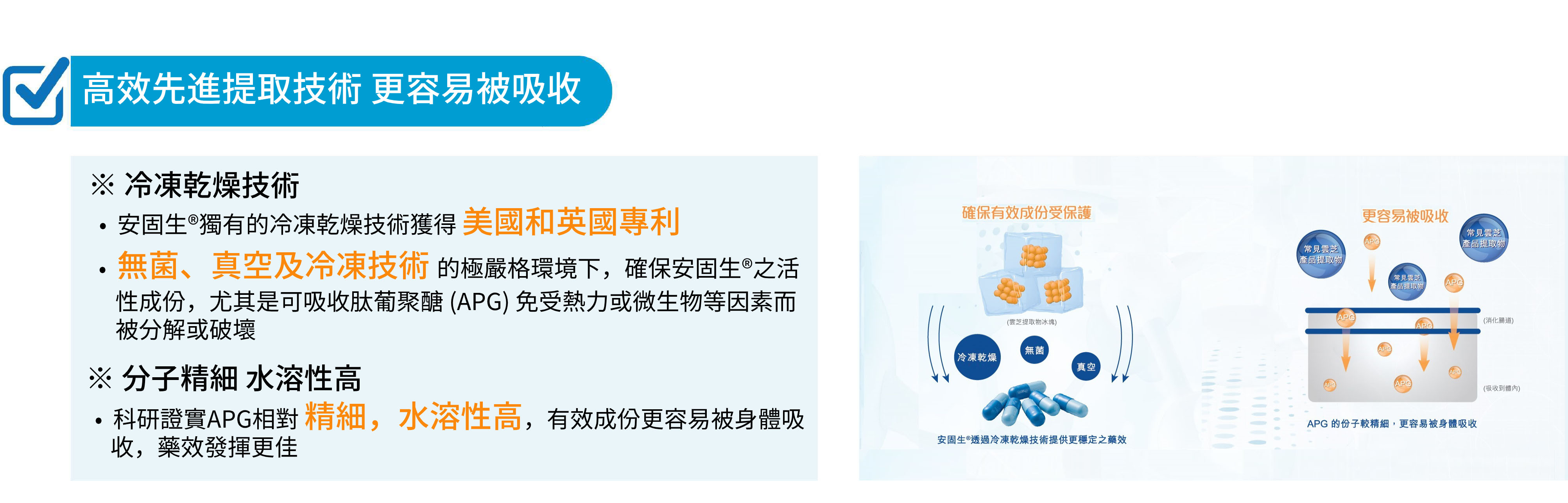 安固生云芝胶囊高效先进撮技术、更容易被吸收