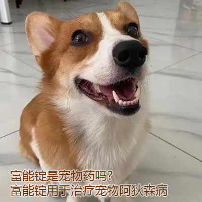 富能锭是宠物药吗？富能锭用于治疗宠物阿狄森病