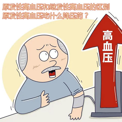 原发性高血压和继发性高血压的区别，原发性高血压吃什么降压药？