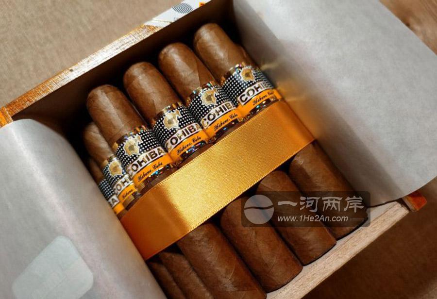 Cohiba Robustos