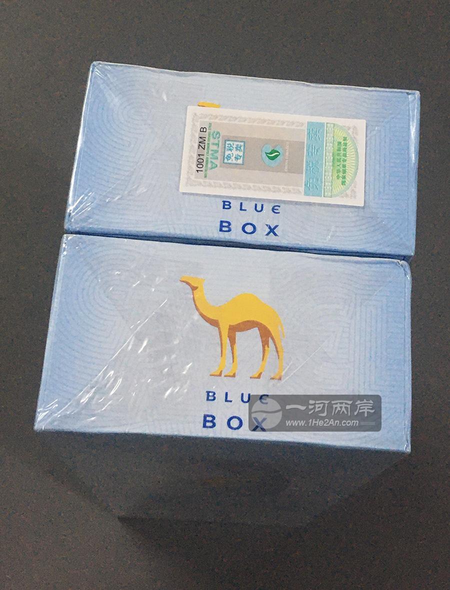 中免蓝骆驼